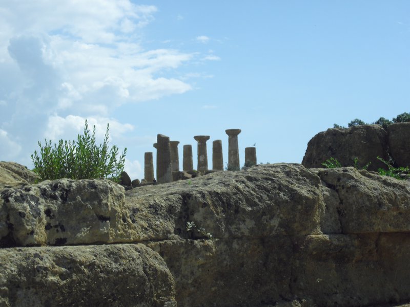 Image cimg0863.jpg