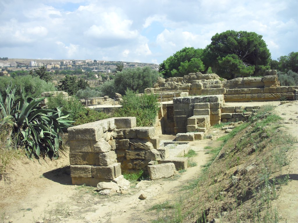 Image cimg0865.jpg