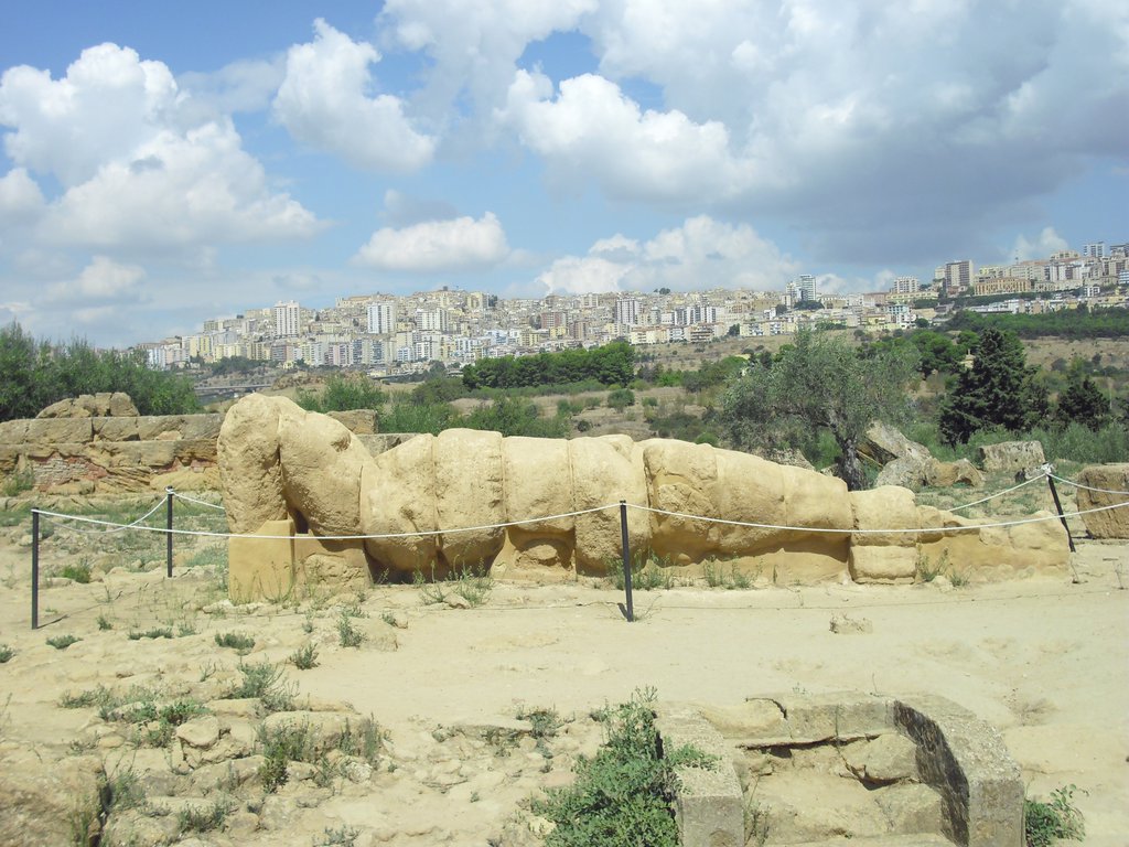 Image cimg0866.jpg
