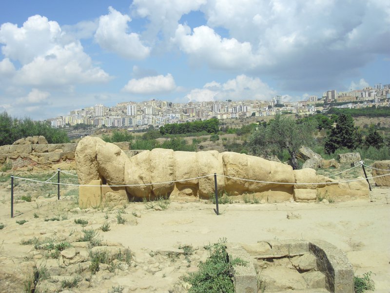 Image cimg0866.jpg