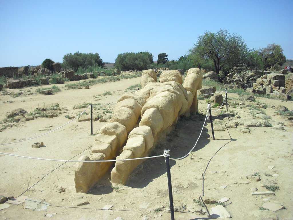 Image cimg0867.jpg