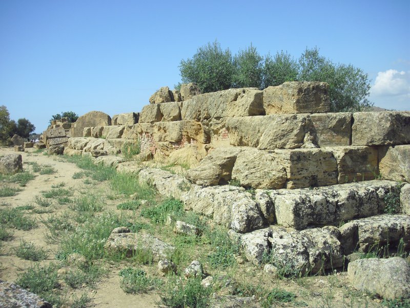 Image cimg0869.jpg