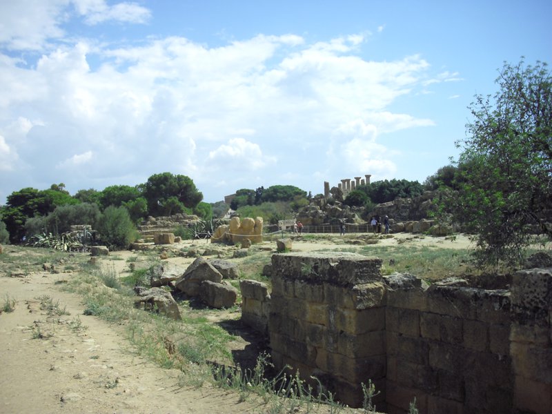 Image cimg0870.jpg