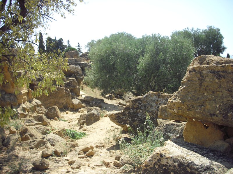 Image cimg0871.jpg
