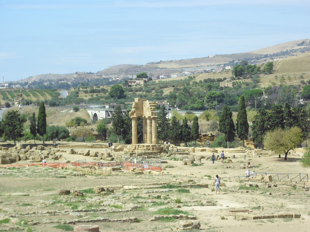 Image cimg0873.jpg