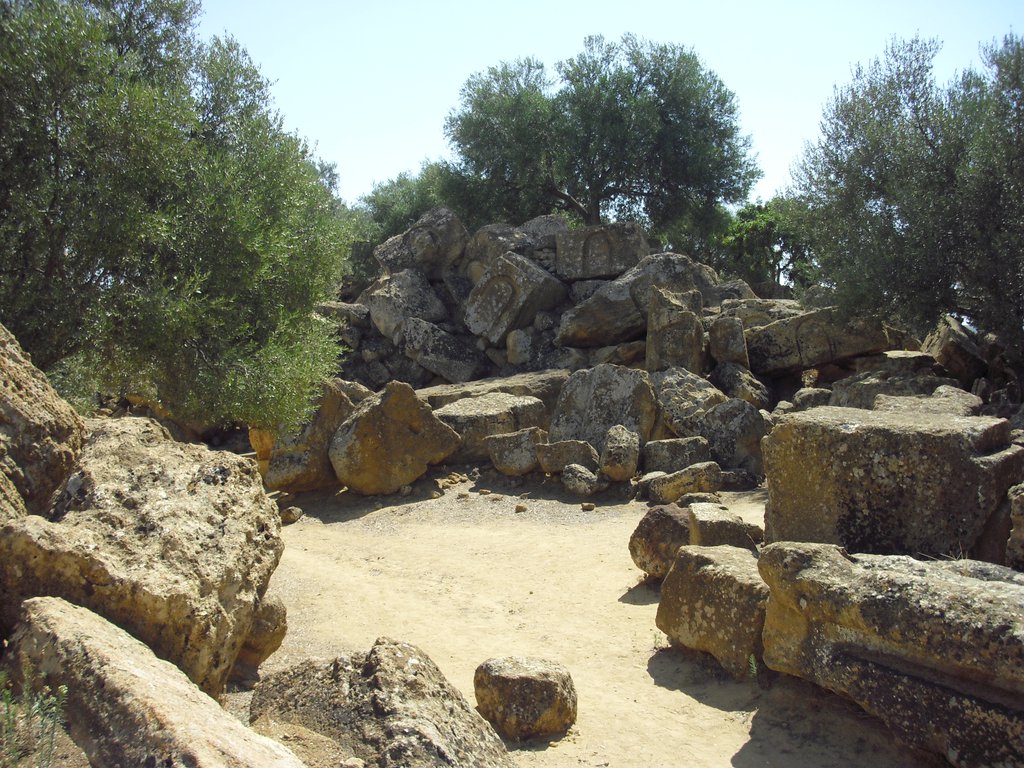 Image cimg0874.jpg