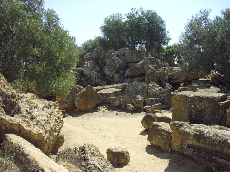 Image cimg0874.jpg