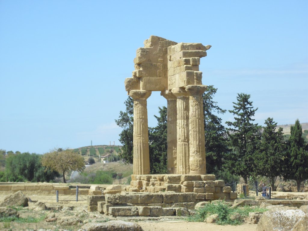 Image cimg0875.jpg