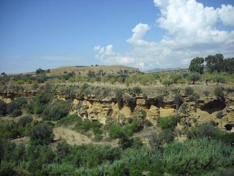 Image cimg0878.jpg