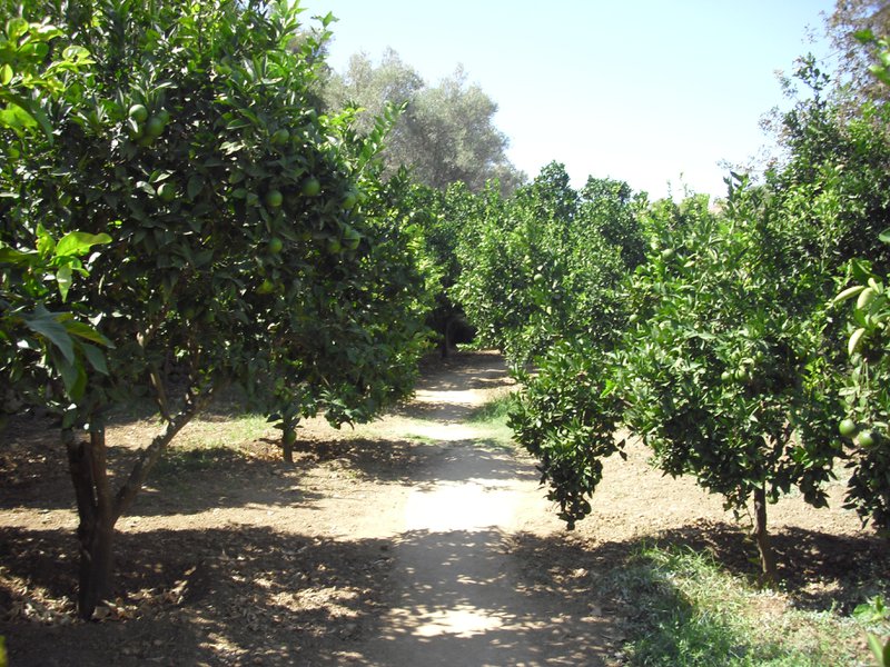 Image cimg0880.jpg