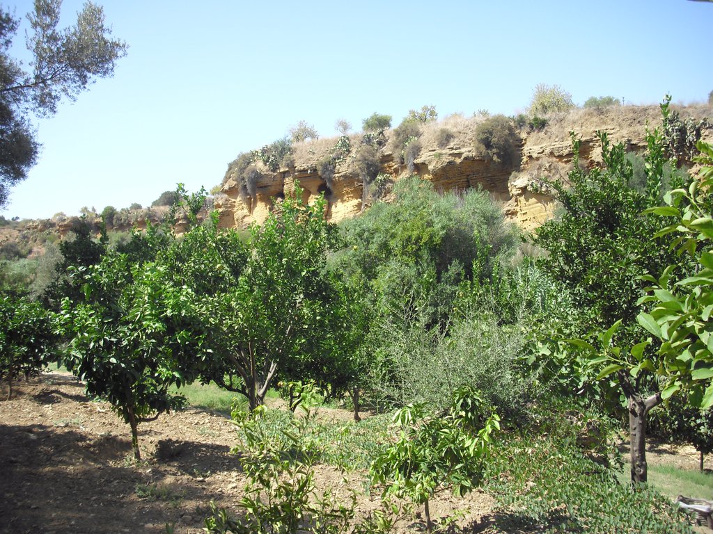 Image cimg0881.jpg