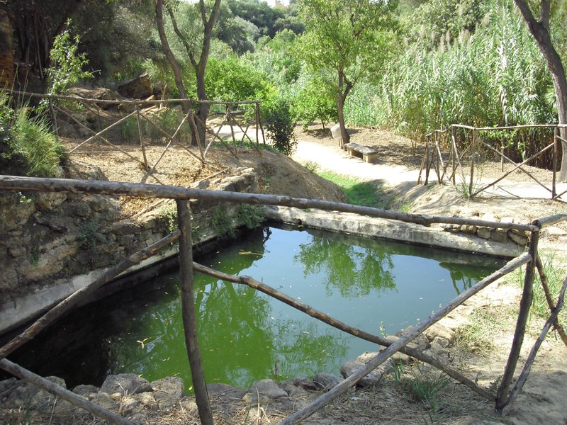 Image cimg0884.jpg