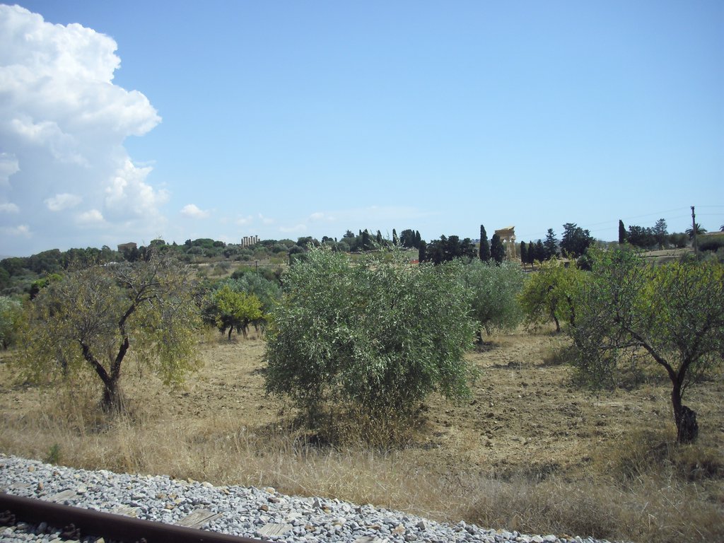Image cimg0890.jpg