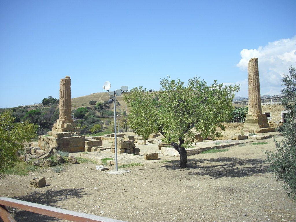 Image cimg0891.jpg