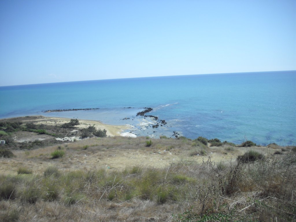 Image cimg0893.jpg