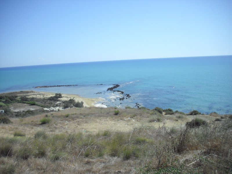 Image cimg0893.jpg