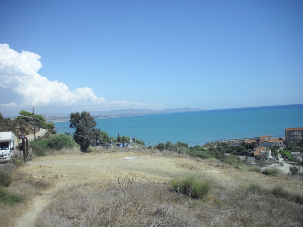 Image cimg0894.jpg