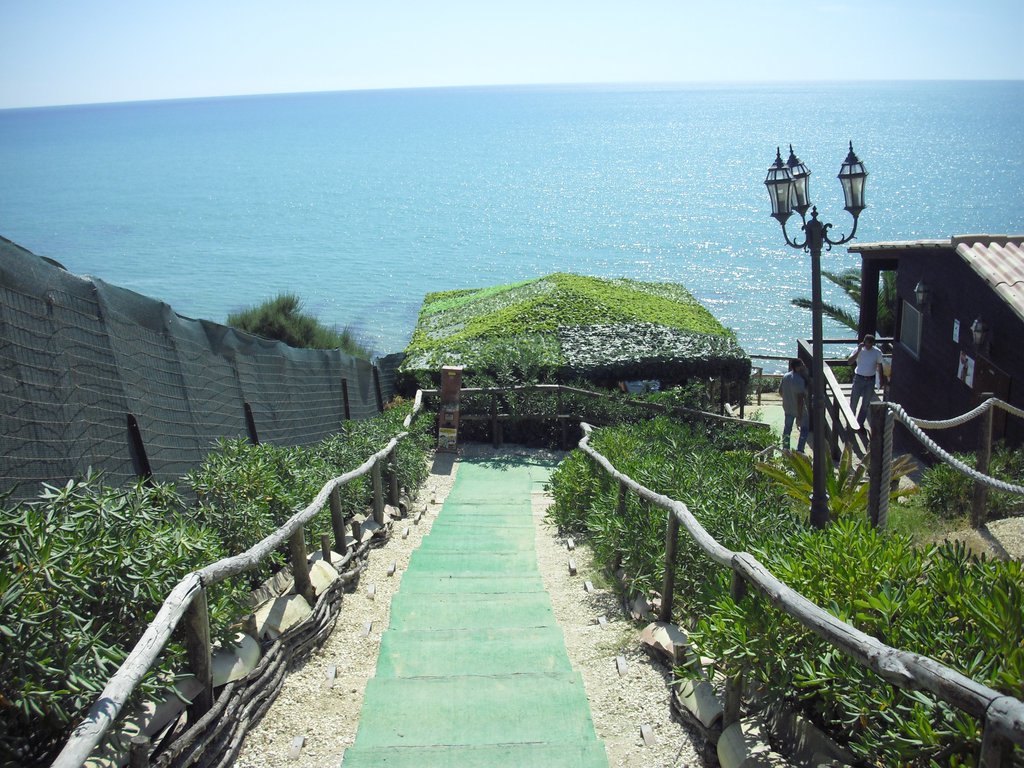 Image cimg0895.jpg
