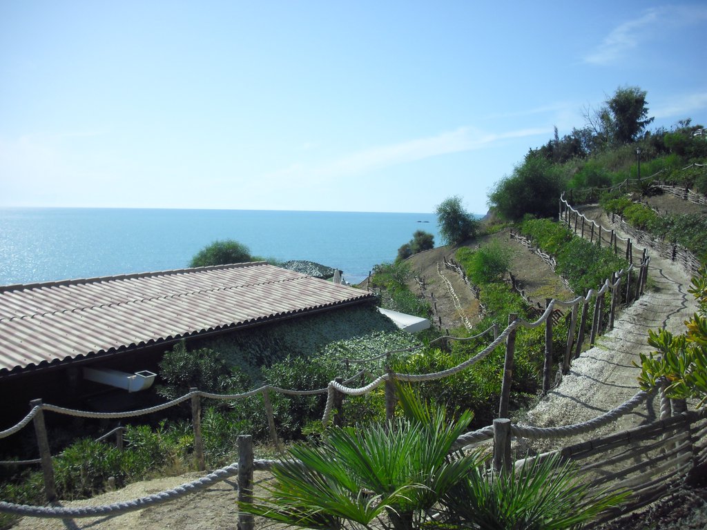Image cimg0898.jpg