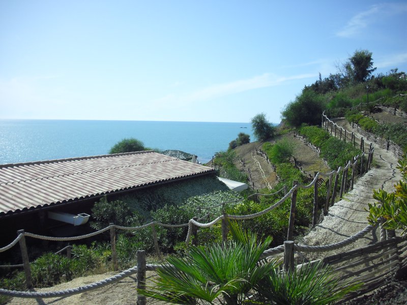 Image cimg0898.jpg
