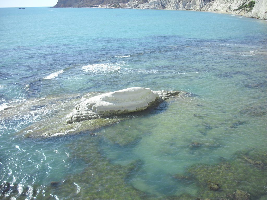 Image cimg0914.jpg