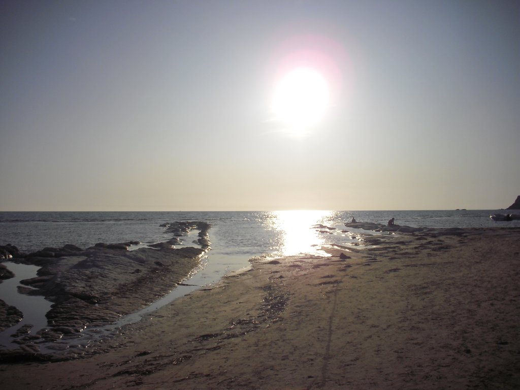 Image cimg0927.jpg