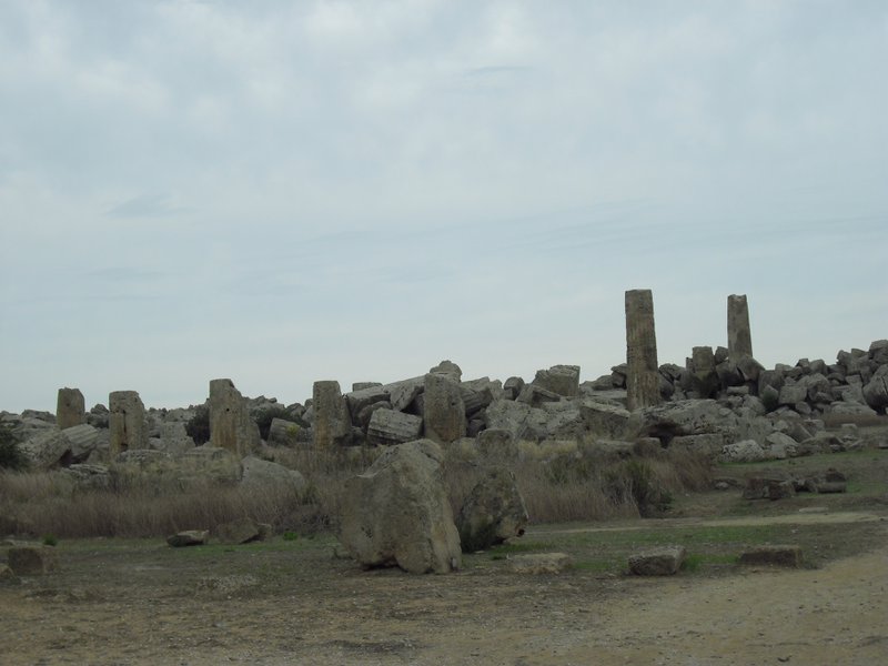 Image cimg0935.jpg