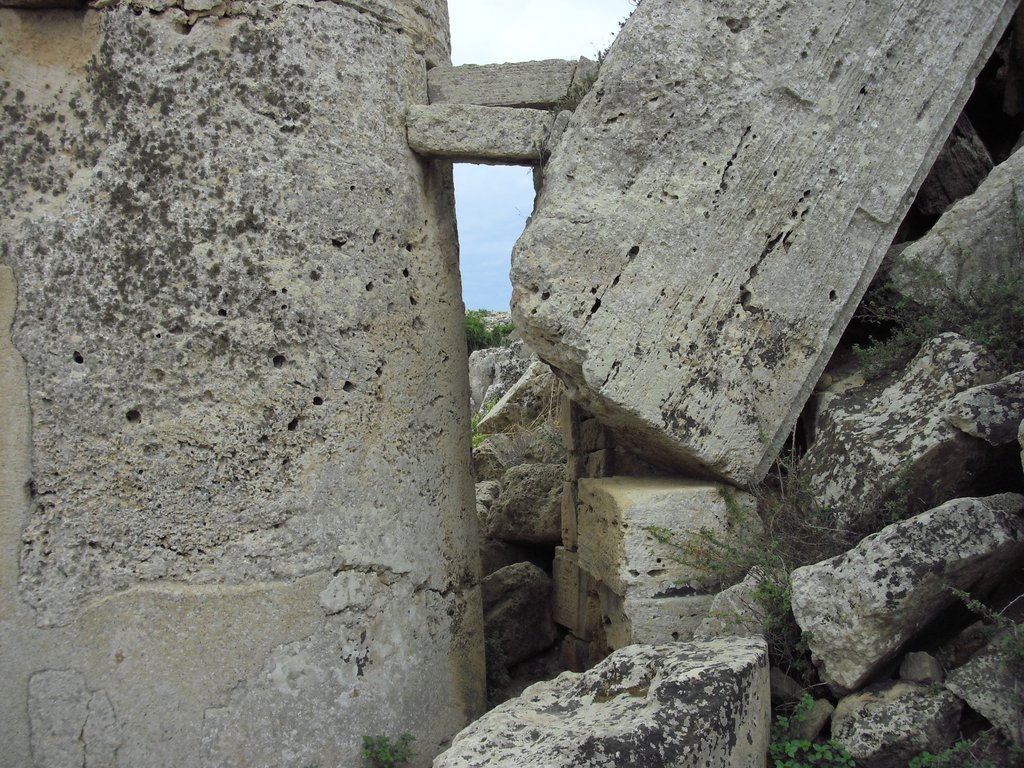 Image cimg0948.jpg