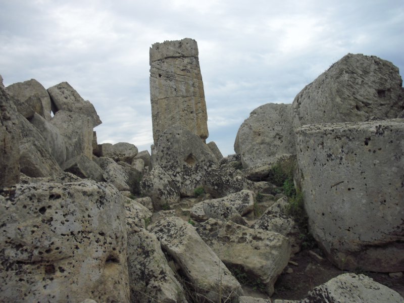 Image cimg0949.jpg