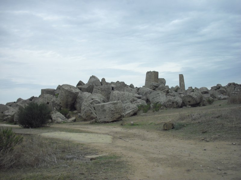 Image cimg0955.jpg