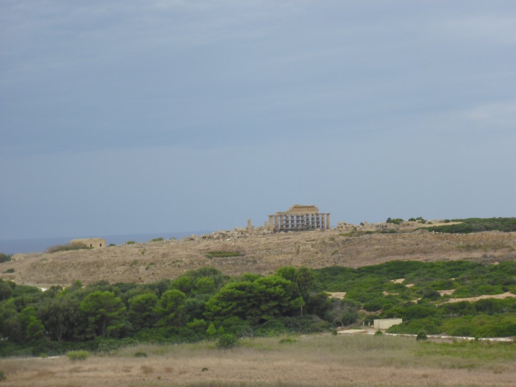 Image cimg0957.jpg