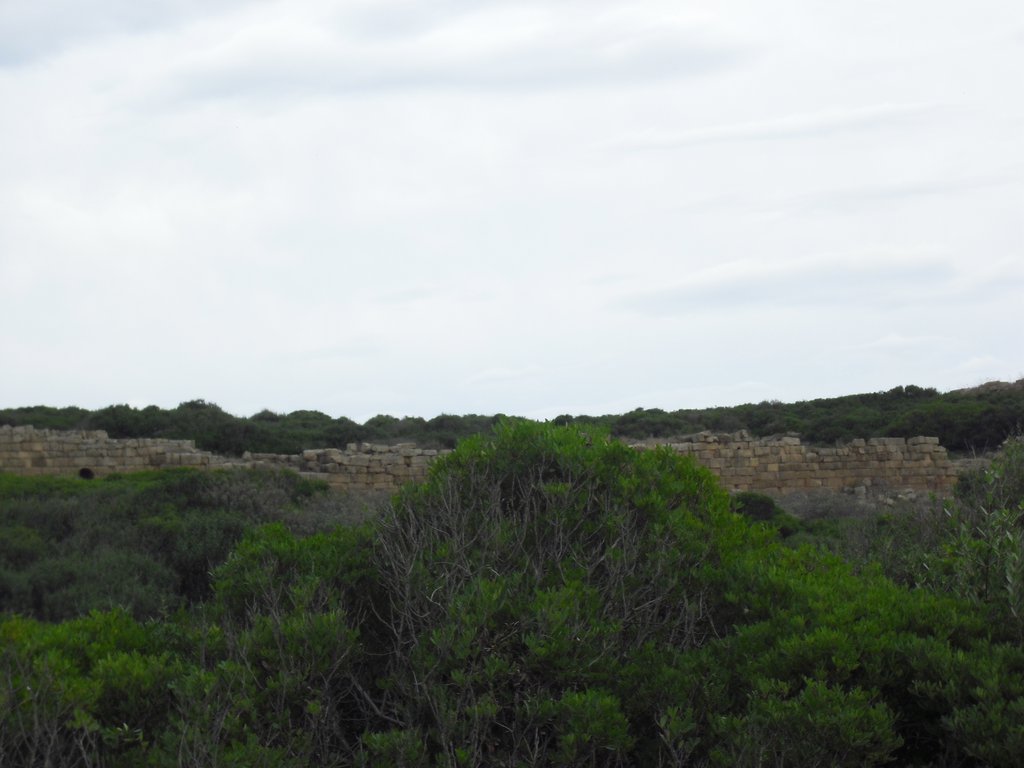 Image cimg0960.jpg
