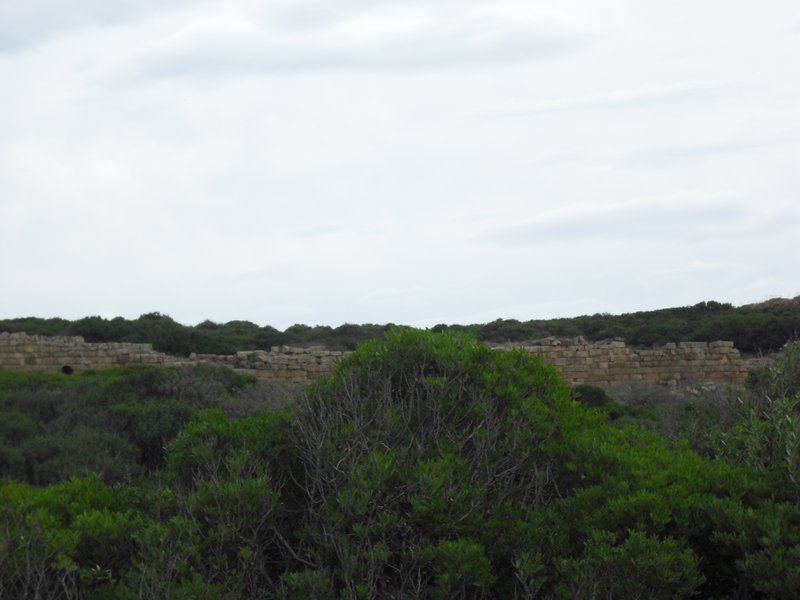 Image cimg0960.jpg