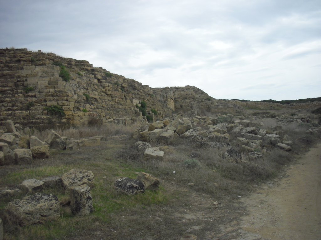 Image cimg0961.jpg
