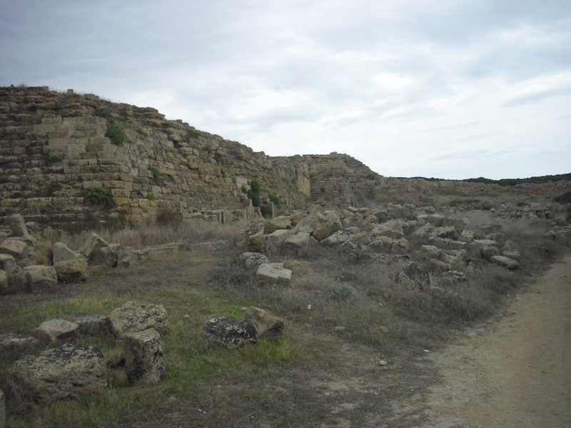 Image cimg0961.jpg