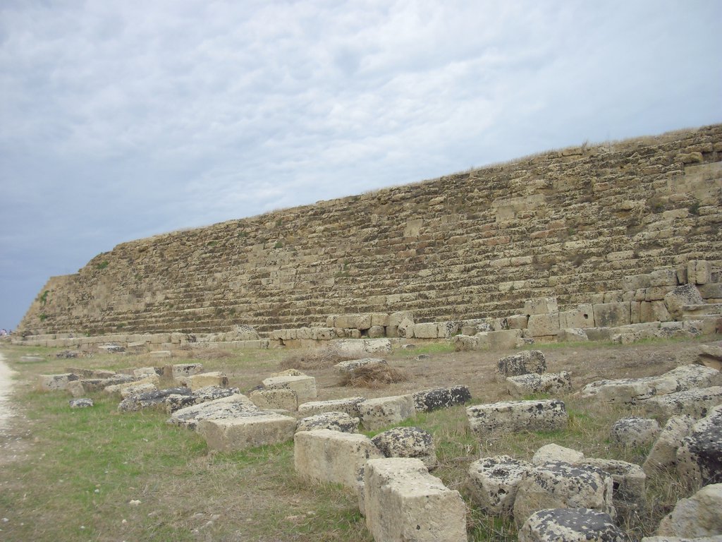 Image cimg0962.jpg