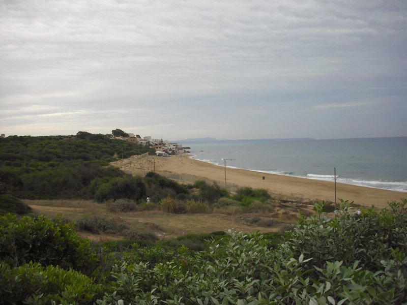 Image cimg0963.jpg