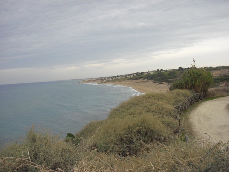 Image cimg0970.jpg