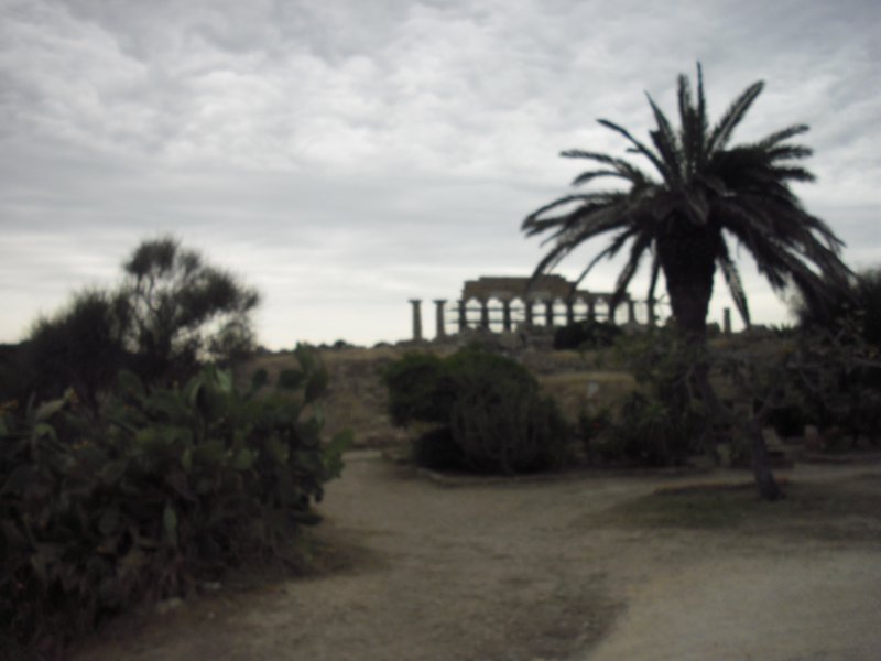 Image cimg0971.jpg