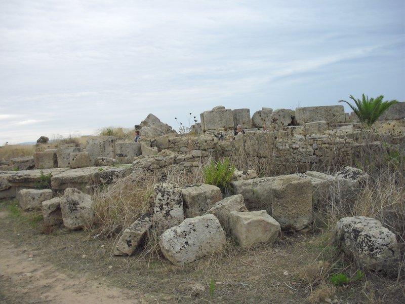 Image cimg0973.jpg