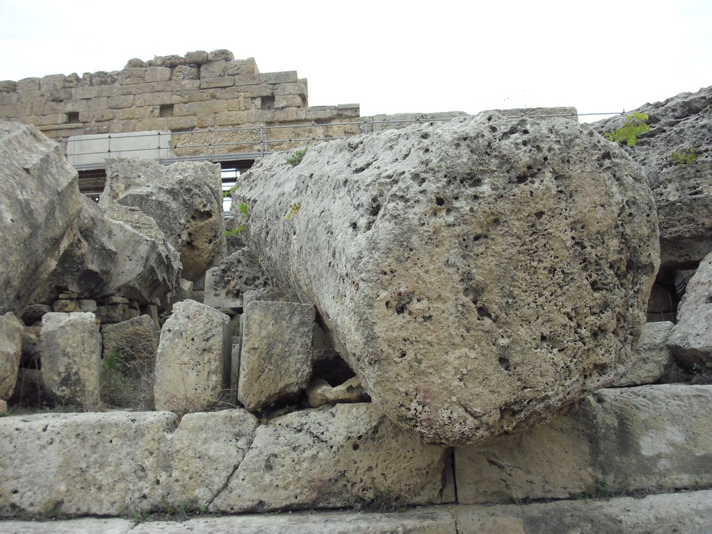 Image cimg0975.jpg