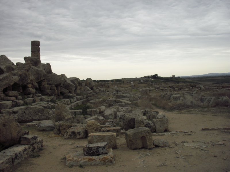 Image cimg0977.jpg