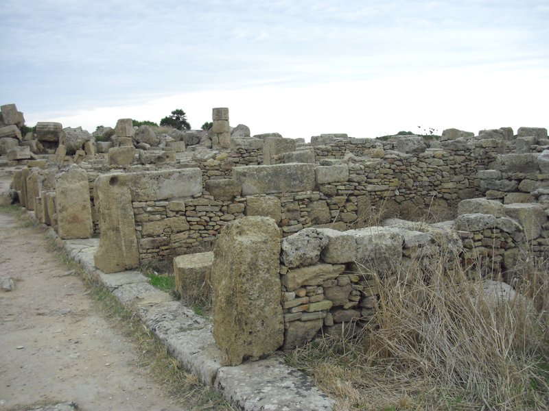Image cimg0979.jpg