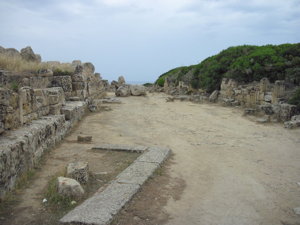 Image cimg0980.jpg