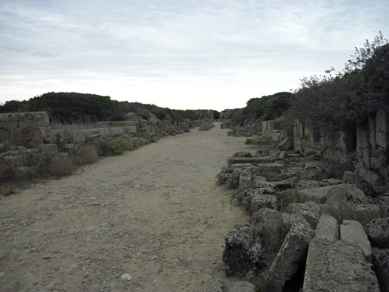 Image cimg0981.jpg