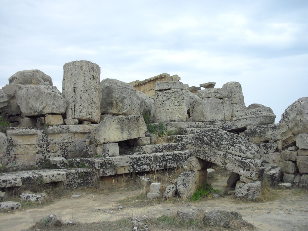 Image cimg0982.jpg