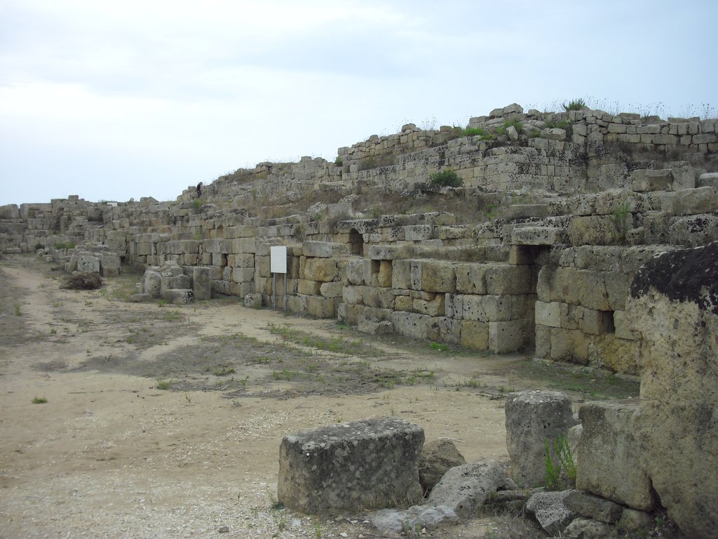 Image cimg0986.jpg