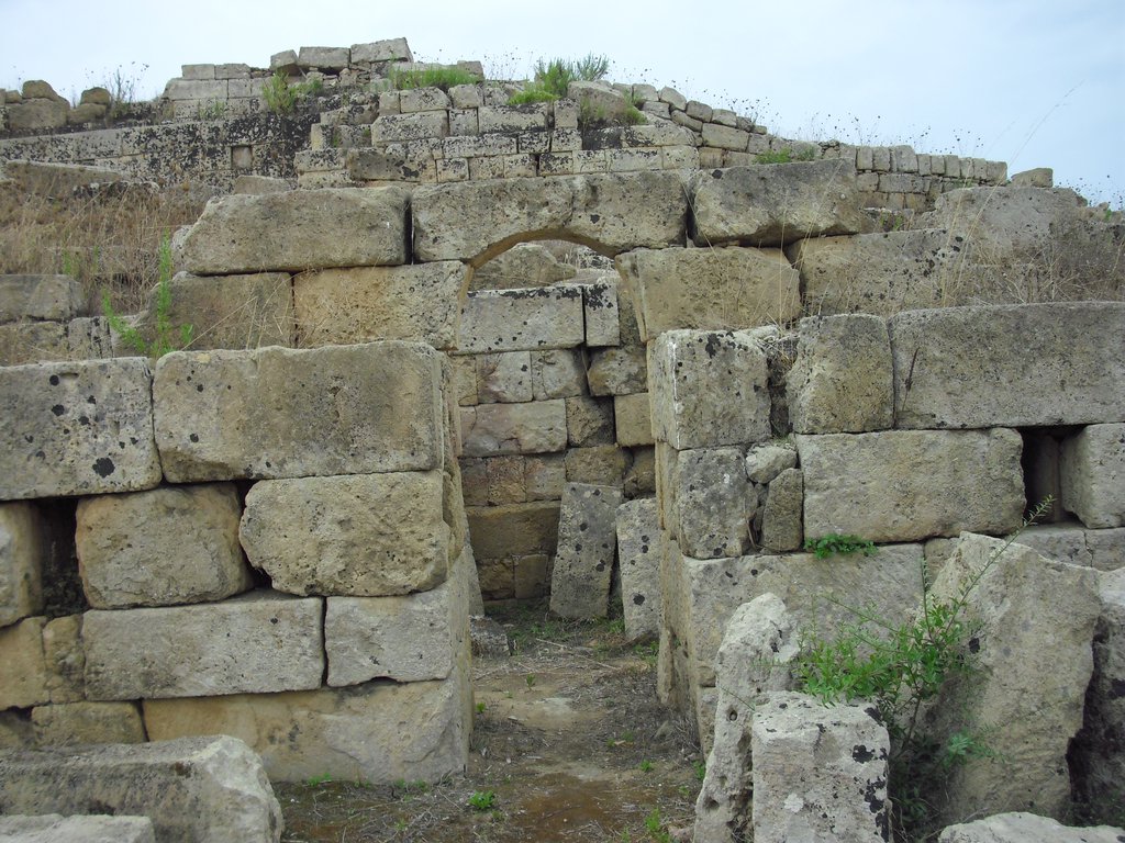 Image cimg0988.jpg