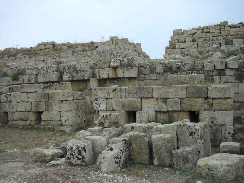 Image cimg0989.jpg