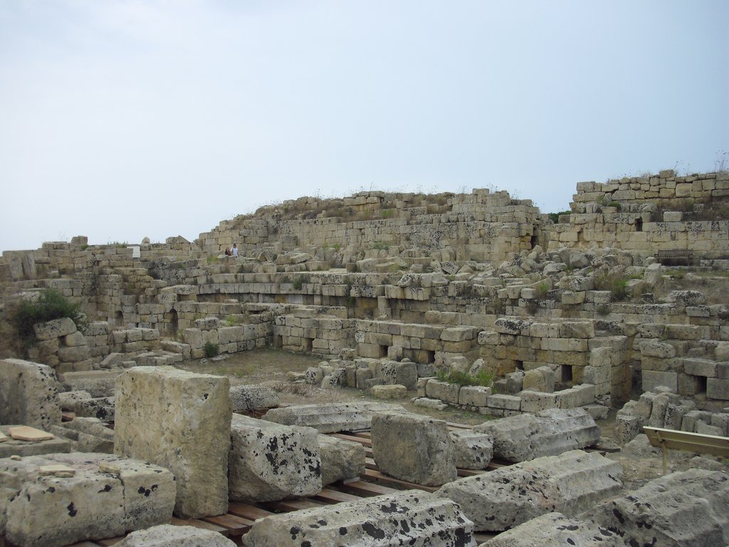 Image cimg0994.jpg